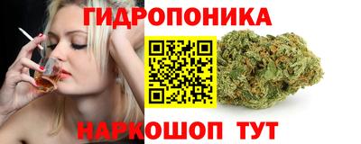 шишки Кулебаки