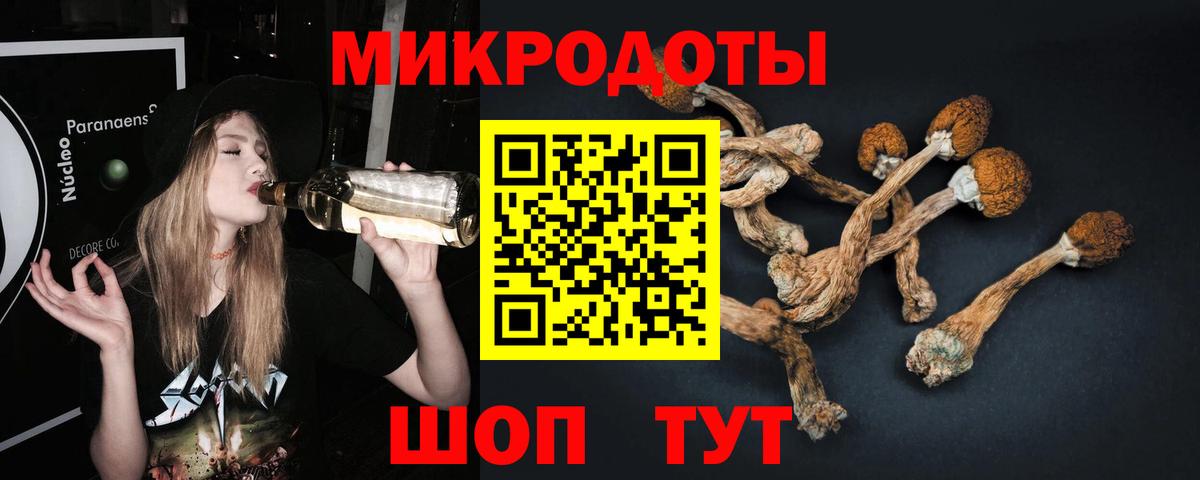 Галлюциногенные грибы ЛСД Домодедово